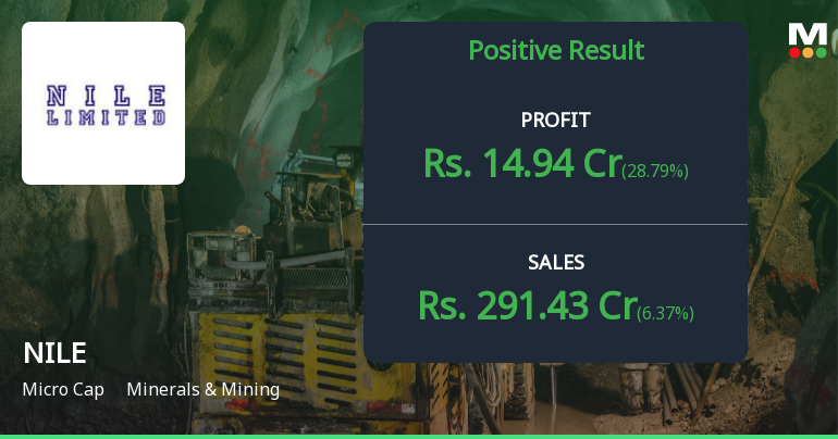 NILE Ltd Q3 FY26: Strong Profit Growth Masks Margin Volatility Concerns