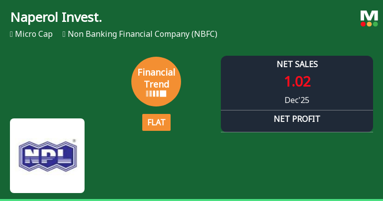Naperol Investments Ltd Reports Flat Quarterly Performance Amid Margin Pressures