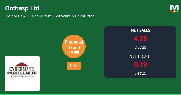 Orchasp Ltd Reports Flat Quarterly Performance Amid Margin Pressures