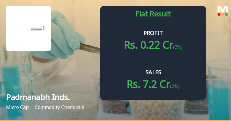 Padmanabh Industries Q3 FY26: Micro-Cap Struggles with Negligible Revenue and Deep Losses
