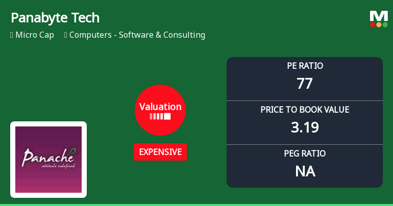 Panabyte Technologies Ltd Valuation Shifts Amid Market Pressure