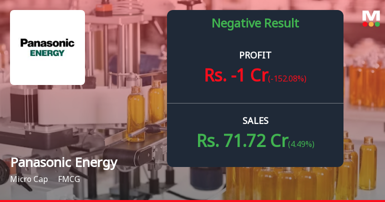 Panasonic Energy India Q3 FY26: Profit Plunge Raises Alarm Bells