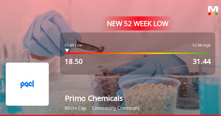Primo Chemicals Ltd Stock Falls to 52-Week Low of Rs.18.5