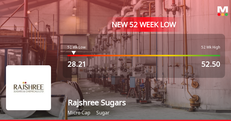 Rajshree Sugars & Chemicals Ltd Falls to 52-Week Low of Rs.28.21