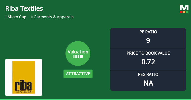 Riba Textiles Ltd Valuation Shifts Signal Renewed Price Attractiveness Amid Sector Challenges