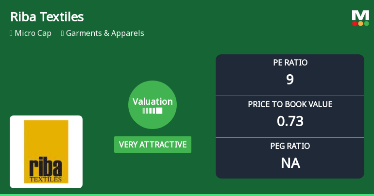 Riba Textiles Ltd Valuation Turns Very Attractive Amid Market Pressure