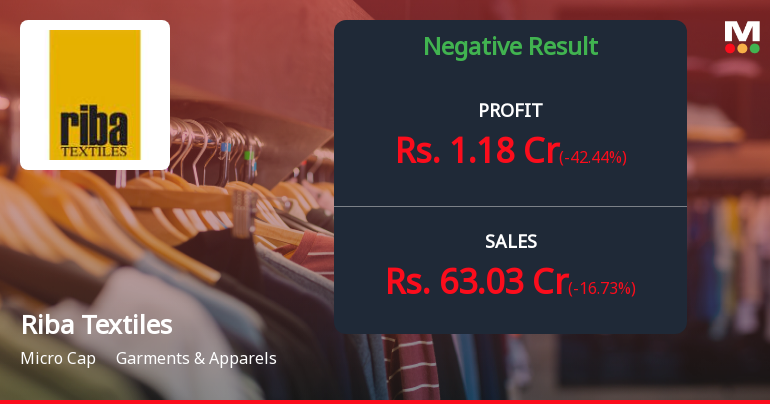 Riba Textiles Q2 FY26: Profitability Surge Masks Revenue Decline