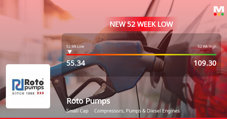 Roto Pumps Ltd Stock Hits 52-Week Low Amidst Continued Downtrend