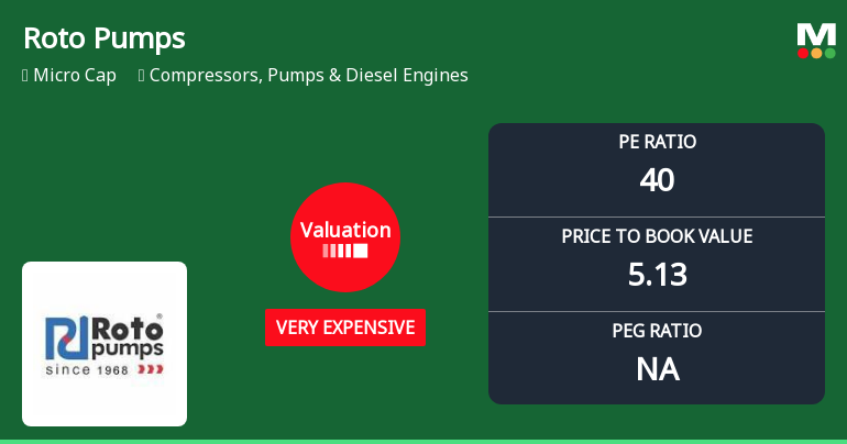Roto Pumps Ltd Valuation Shifts Signal Heightened Price Risk Amid Strong Sell Rating