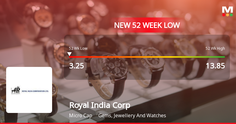 Royal India Corporation Ltd Falls to 52-Week Low of Rs.3.25