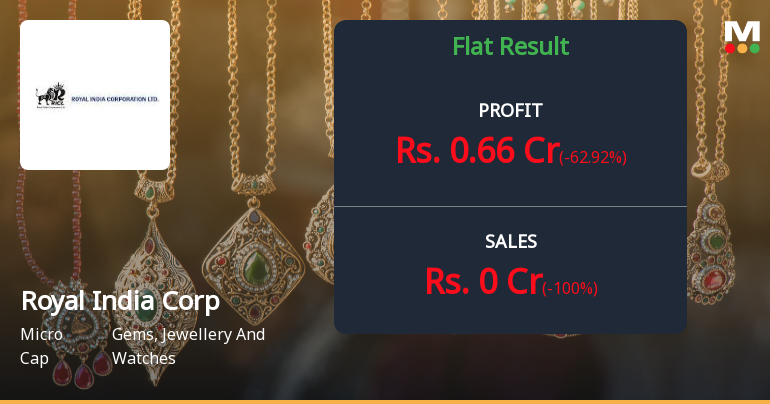 Royal India Corporation Q3 FY26: Revenue Collapse Triggers Sharp Profit Decline