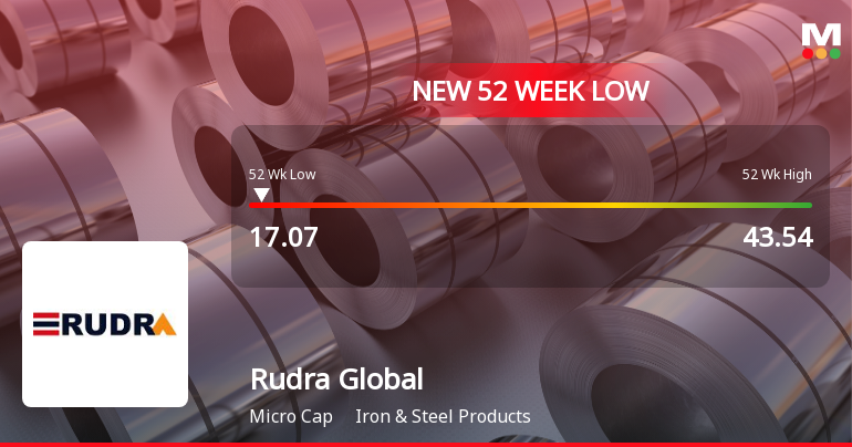 Rudra Global Infra Products Ltd Falls to 52-Week Low of Rs.17.07