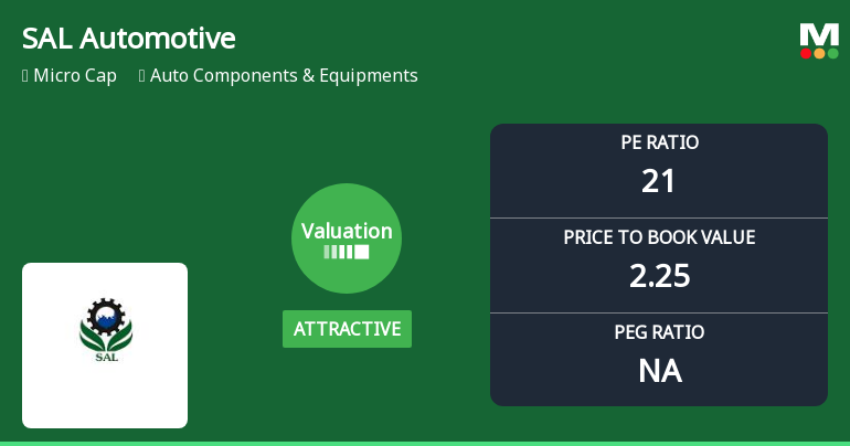 SAL Automotive Ltd Valuation Shifts Signal Changing Market Sentiment