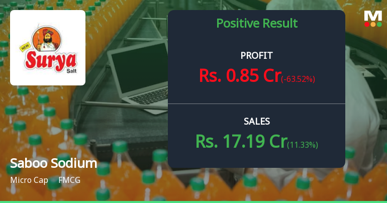 Saboo Sodium Chloro Q3 FY26: Profitability Collapses as Margins Evaporate