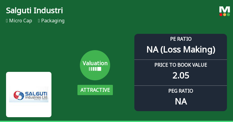 Salguti Industries Ltd Valuation Shifts Signal Renewed Price Attractiveness