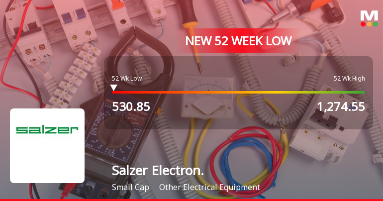 Salzer Electronics Ltd Falls to 52-Week Low Amidst Continued Downtrend