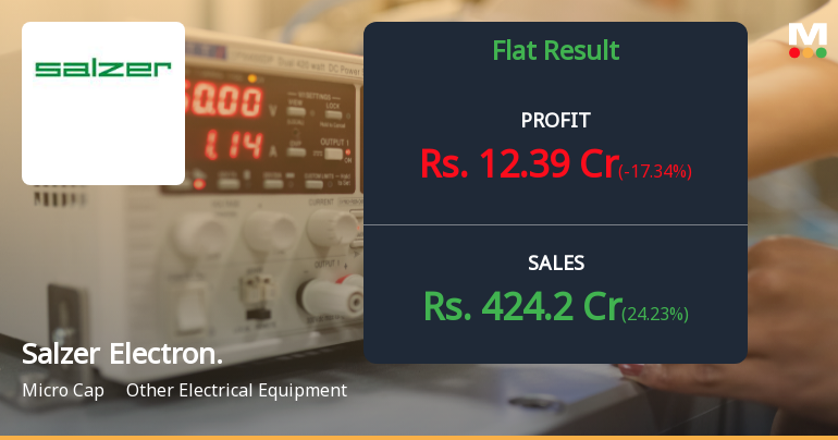 Salzer Electronics Q3 FY26: Sharp Profit Decline Amid Revenue Growth Raises Margin Concerns