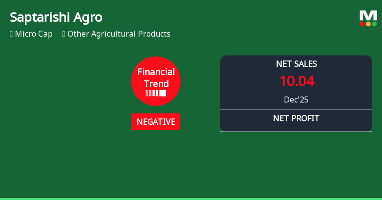 Saptarishi Agro Industries Ltd Reports Sharp Quarterly Decline Amid Negative Financial Trend