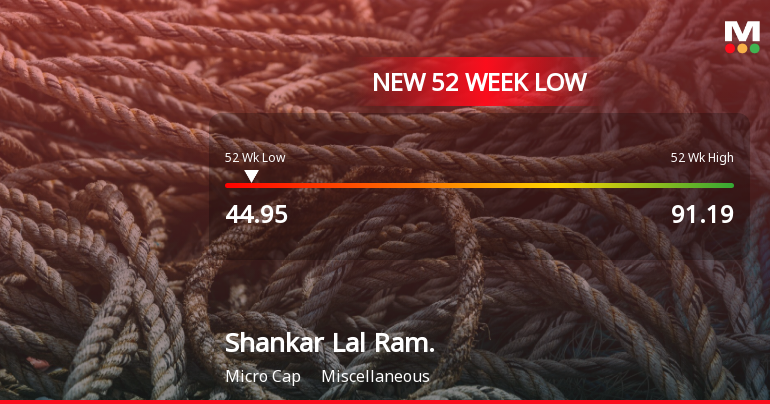 Shankar Lal Rampal Dye-Chem Ltd Stock Falls to 52-Week Low of Rs.44.95