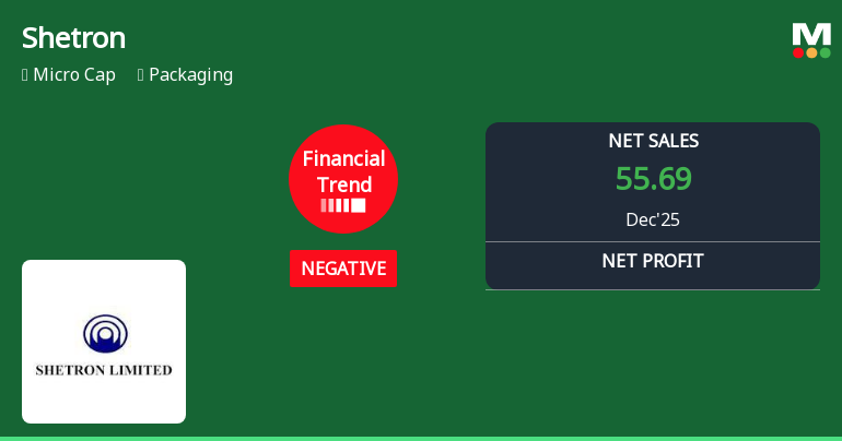 Shetron Ltd Reports Negative Financial Trend Amid Margin Pressures in Q4 FY2025