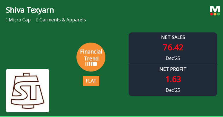 Shiva Texyarn Ltd Reports Flat Quarterly Performance Amid Margin Pressures