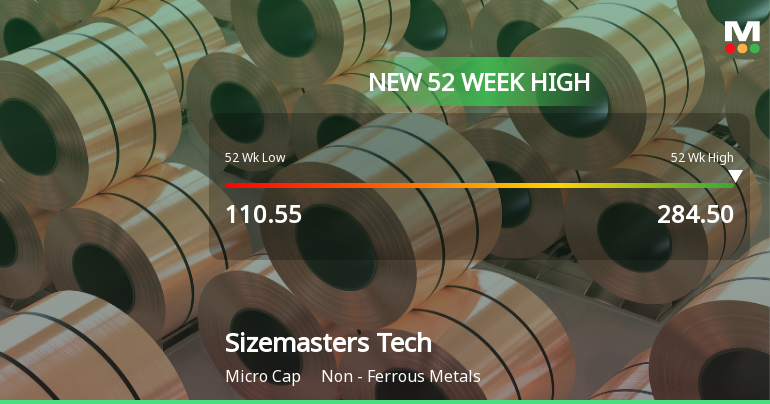 Sizemasters Technology Ltd Hits New 52-Week High at Rs.284.5