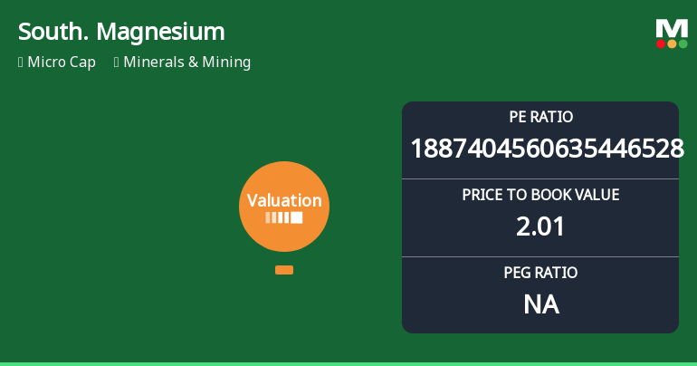 Southern Magnesium & Chemicals Ltd Faces Sharp Valuation Reassessment Amid Market Volatility