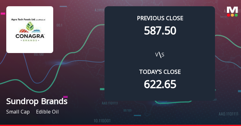 Sundrop Brands Ltd Opens with Significant Gap Down Amid Market Concerns