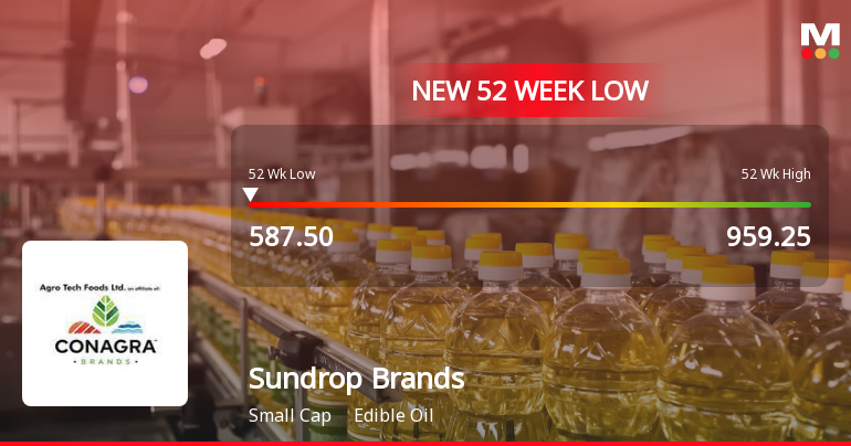 Sundrop Brands Ltd Falls to 52-Week Low Amid Continued Underperformance