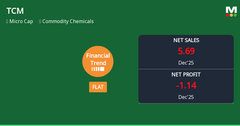 TCM Ltd Reports Stabilised Quarterly Performance Amid Revenue Decline