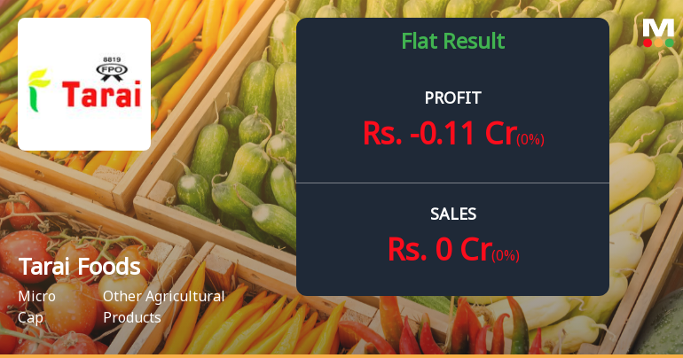 Tarai Foods Q3 FY26: Zero Revenue, Mounting Losses Signal Operational Collapse