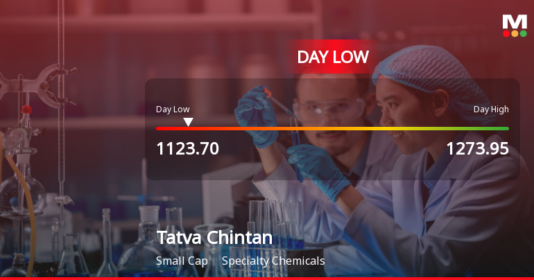 Tatva Chintan Pharma Chem Ltd Hits Intraday Low Amid Price Pressure
