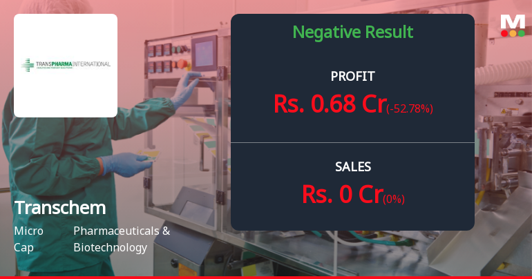 Transchem Ltd Q2 FY26: Operations Stalled, Other Income Props Up Profits