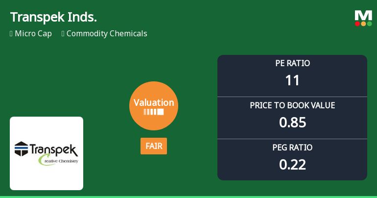 Transpek Industry Ltd Valuation Shifts to Fair Amid Mixed Market Performance