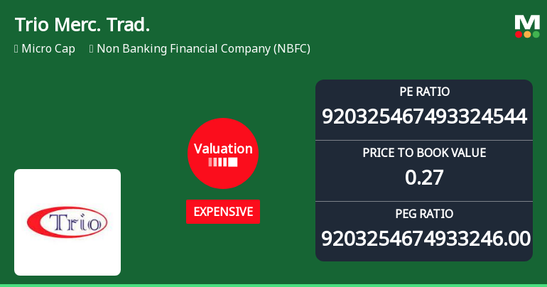 Trio Mercantile & Trading Ltd Valuation Shifts Signal Price Attractiveness Concerns