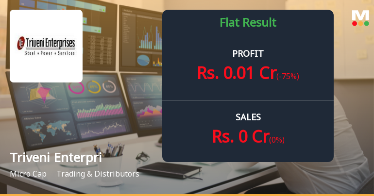 Triveni Enterprises Q3 FY26: Revenue Collapse Continues as Trading Operations Grind to Halt