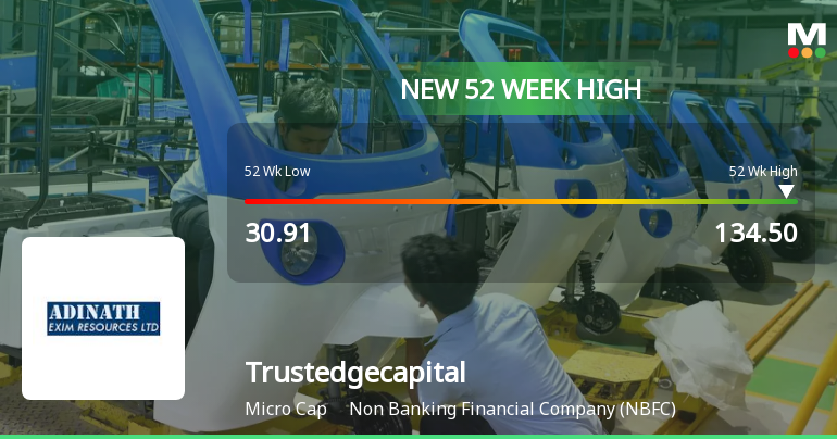 Trustedge Capital Ltd Hits New 52-Week High at Rs.134.5