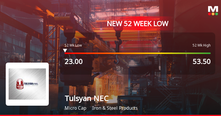 Tulsyan NEC Ltd Stock Falls to 52-Week Low of Rs.23 Amidst Continued Downtrend