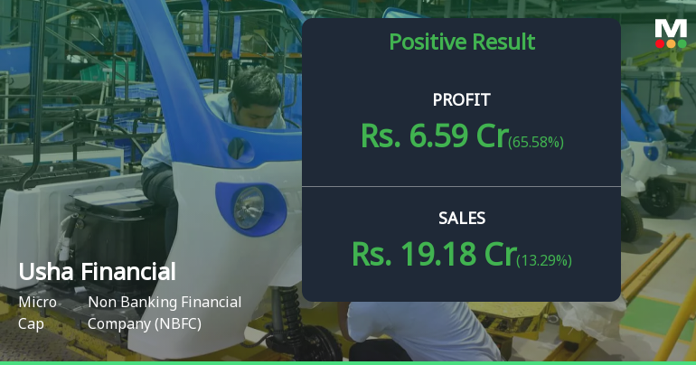 Usha Financial Services Q3 FY26: Strong Profit Surge Masks Underlying Concerns