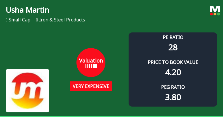Usha Martin Ltd Valuation Shifts Signal Heightened Price Premium Amid Sector Dynamics