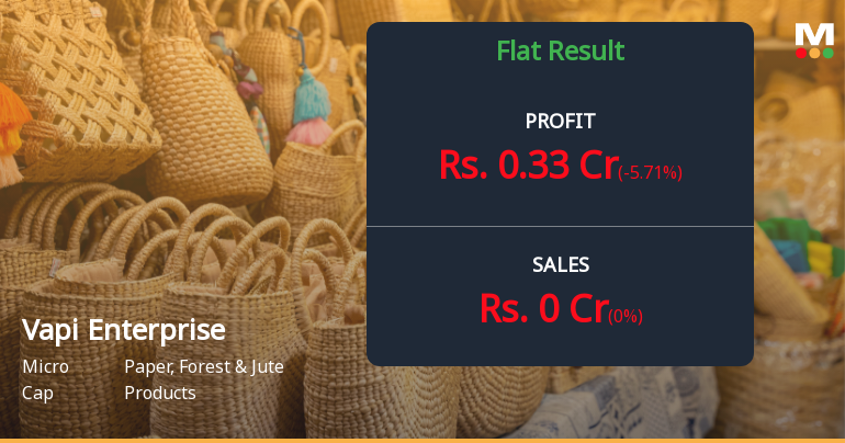 Vapi Enterprise Q3 FY26: Micro-Cap Paper Company Struggles with Zero Revenue Generation