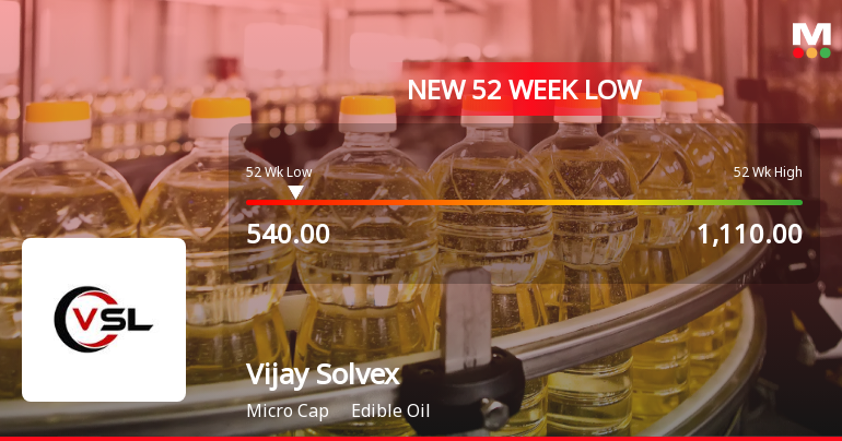 Vijay Solvex Ltd Stock Hits 52-Week Low Amid Continued Downtrend