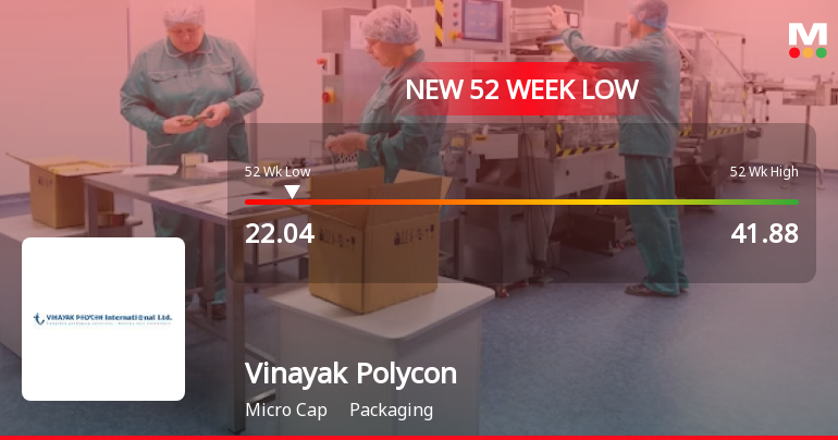 Vinayak Polycon International Ltd Falls to 52-Week Low of Rs.22.04