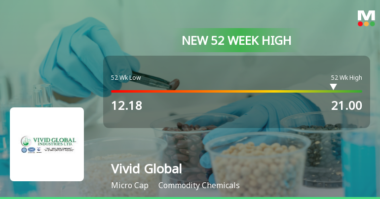 Vivid Global Industries Ltd Hits New 52-Week High of Rs.21