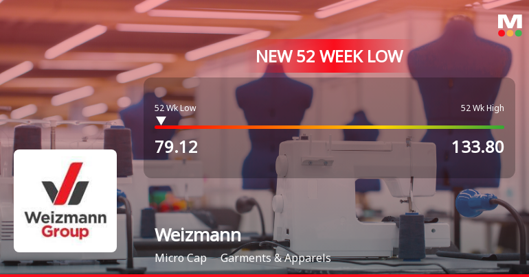 Weizmann Ltd Stock Falls to 52-Week Low Amidst Prolonged Underperformance