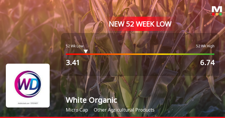 White Organic Agro Ltd Falls to 52-Week Low Amidst Continued Underperformance