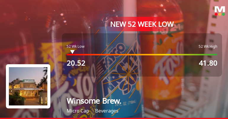 Winsome Breweries Ltd Stock Falls to 52-Week Low of Rs.20.52