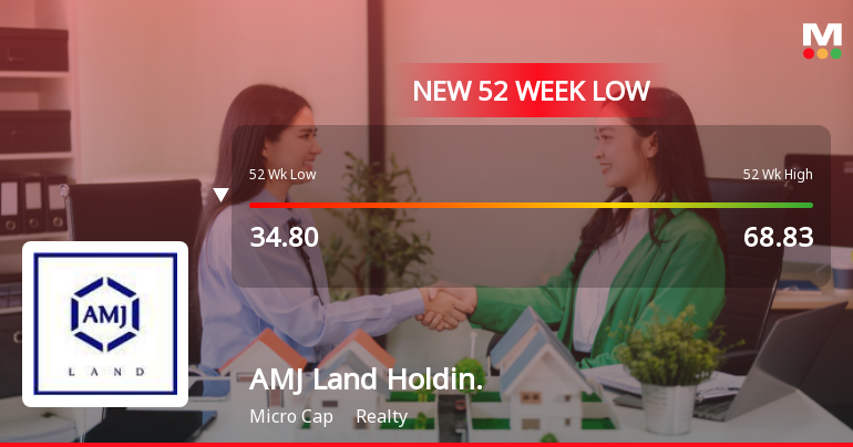 Markets Rally, But AMJ Land Holdings Ltd Sinks to 52-Week Low in Stock-Specific Sell-Off