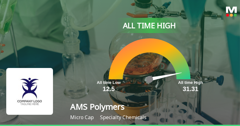 AMS Polymers Ltd Hits All-Time High at Rs.31.31, Marking a Significant Milestone