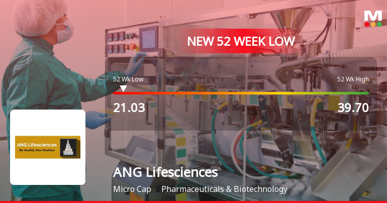 ANG Lifesciences India Ltd Falls to 52-Week Low of Rs 21 as Sell-Off Deepens